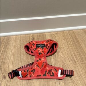 Lucy & Co. Reversible Dog Harnesss